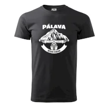 Pálava křížem krážem
