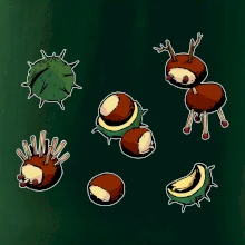 Kaštanová zvířátka - obdelník