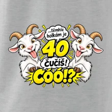 Těmhle holkám je 40, čučíš co?
