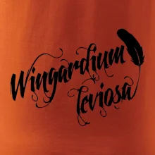 Harry - Wingardium Leviosa