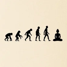 Evoluce budha