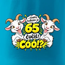 Těmhle holkám je 65, čučíš co?