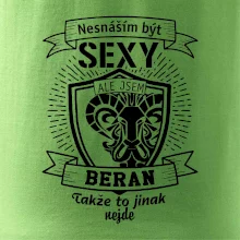 Nesnáším být tak skvělý - Beran