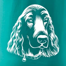 Kokršpaněl - hlava kreslená