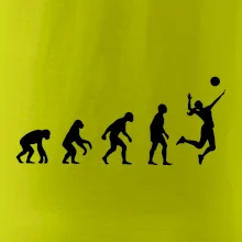 Evoluce volejbal culík Evoluce volejbal culík