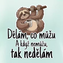 Dělám, co můžu. A když nemůžu, tak nedělám.