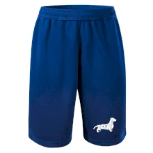 Jezevčík - Dachshund