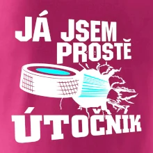 Já jsem prostě útočník (hokej)