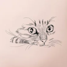 Kočka obličej kreslený