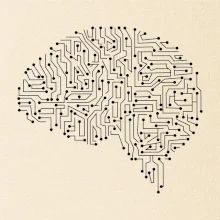 Tištěný spoj mozek