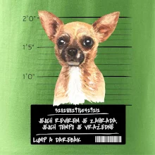 Lump a darebák čivava