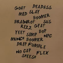 Generace Z - Gen Z slovník