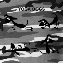 Psí yoga (Hana-creative)