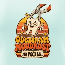 Odebírám moudrost na počkání