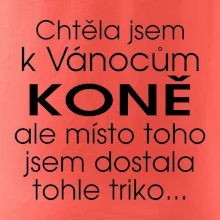 Chtěla jsem k Vánocům koně