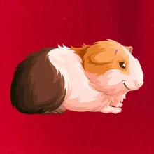 Morče - kreslené z boku