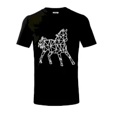 Geometrie - kůň jednobarevná