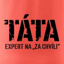 Táta - expert na za chvíli