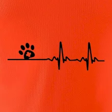 Veterinář EKG