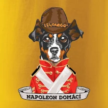 Napoleon domácí pes kříženec