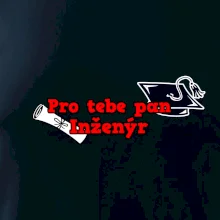 Pro tebe pan Inženýr
