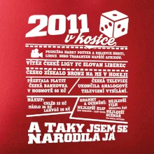 2011 v kostce