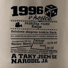 1996 v kostce