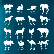 Zvířecí stopy s obrázkem zvířete - stopy zvířat