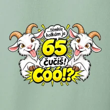 Těmhle holkám je 65, čučíš co?