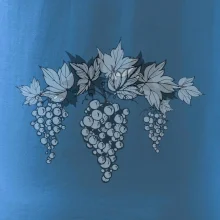 Vinné hrozny šedé