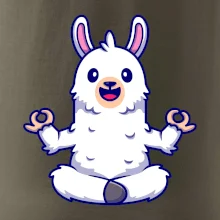 Yoga meditace - lama