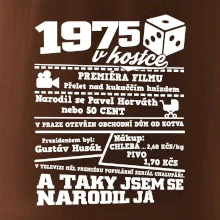 1975 v kostce