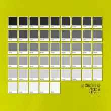 50 barevných odstínů šedi