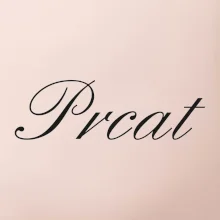 Prcat (souložit vulgárně)