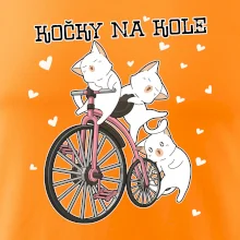 Kočky na kole