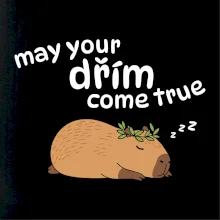 May your dřím come true
