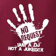 Iam a dj not a jukebox  - ruka