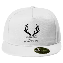 Harry - Expecto patronum