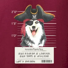 Lump a darebák husky