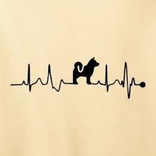 Shiba-Inu EKG Shiba-Inu EKG