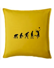 Evoluce volejbal culík