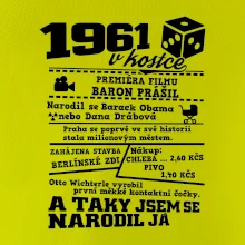1961 v kostce