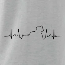 Stafordšírsky bulteriér EKG