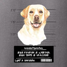 Lump a darebák labrador