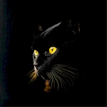 Zlaté kočičí oči