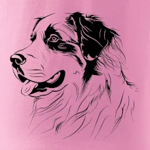 Bernský salašnický pes černá kresba