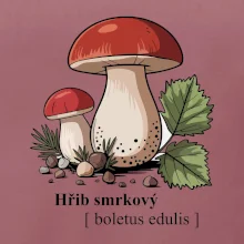 Hřib smrkový - Boletus edulis kreslený