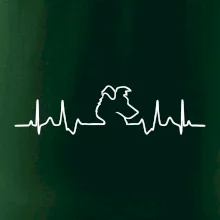 Border kolie EKG