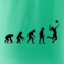Evoluce volejbal culík