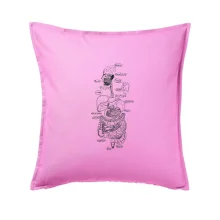 Skica lidských orgánů